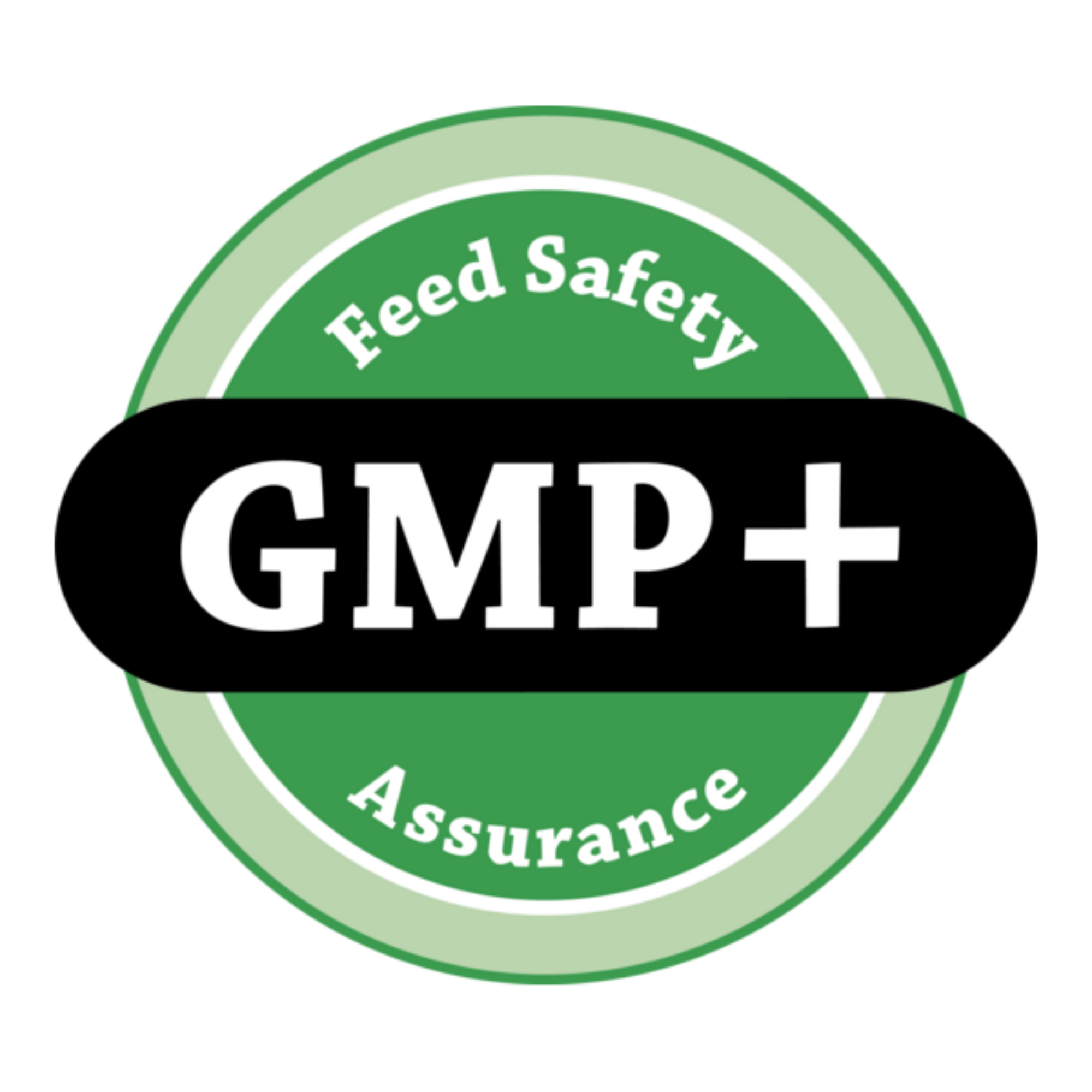 Certificado GMP+ B4